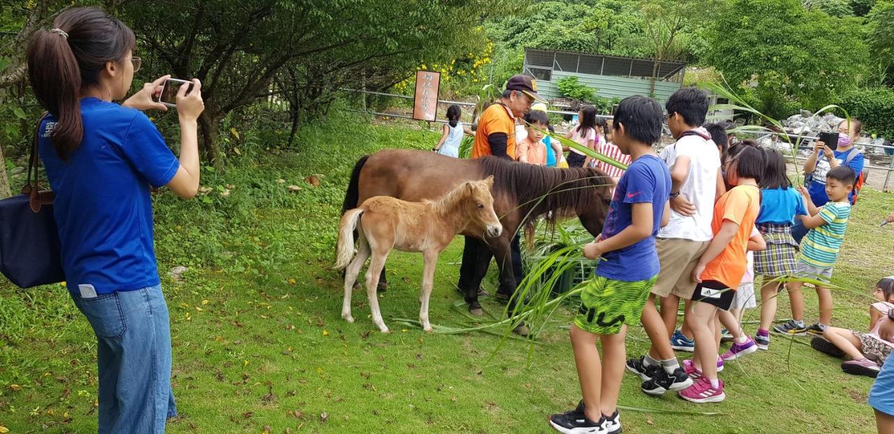 Maylin B&B Xinshe Dış mekan fotoğraf