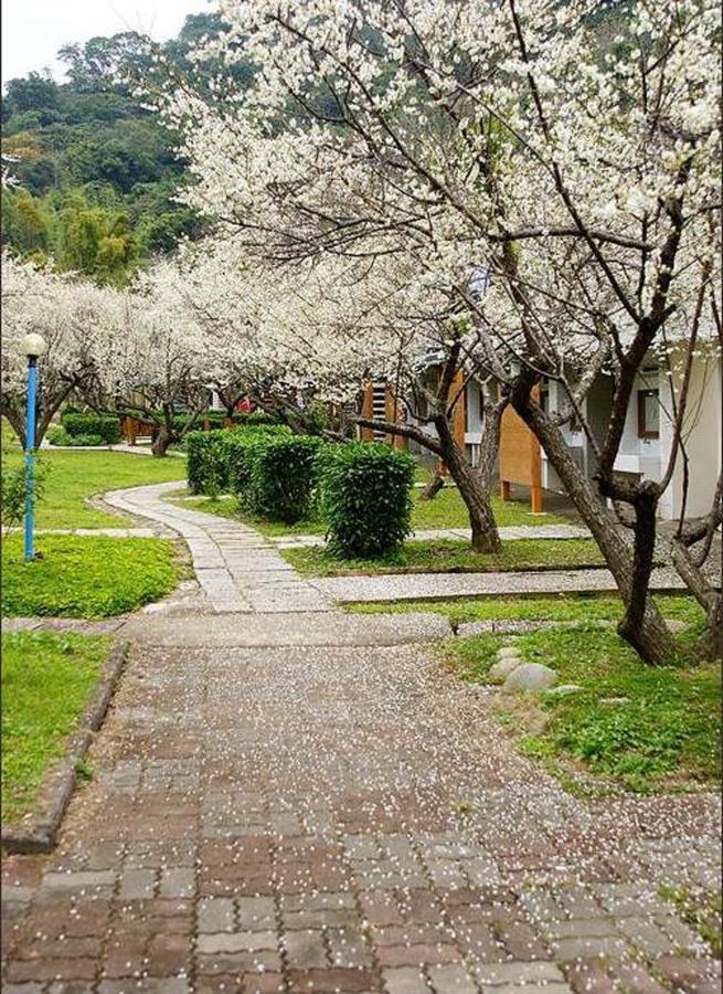 Maylin B&B Xinshe Dış mekan fotoğraf