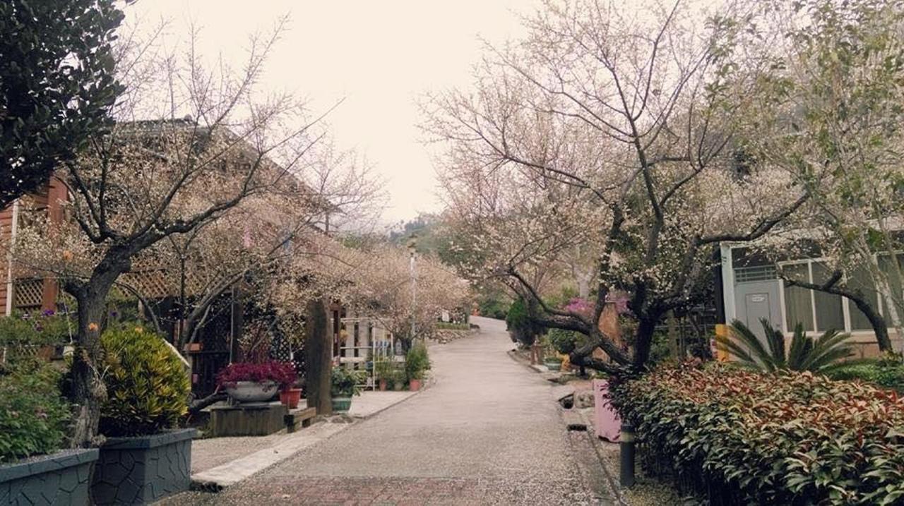 Maylin B&B Xinshe Dış mekan fotoğraf