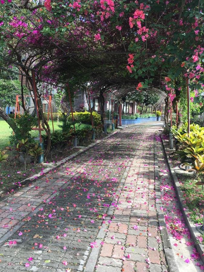 Maylin B&B Xinshe Dış mekan fotoğraf